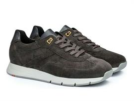 Adron 24-570-12