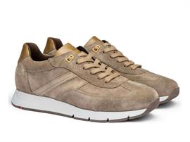 Adron 24-570-13