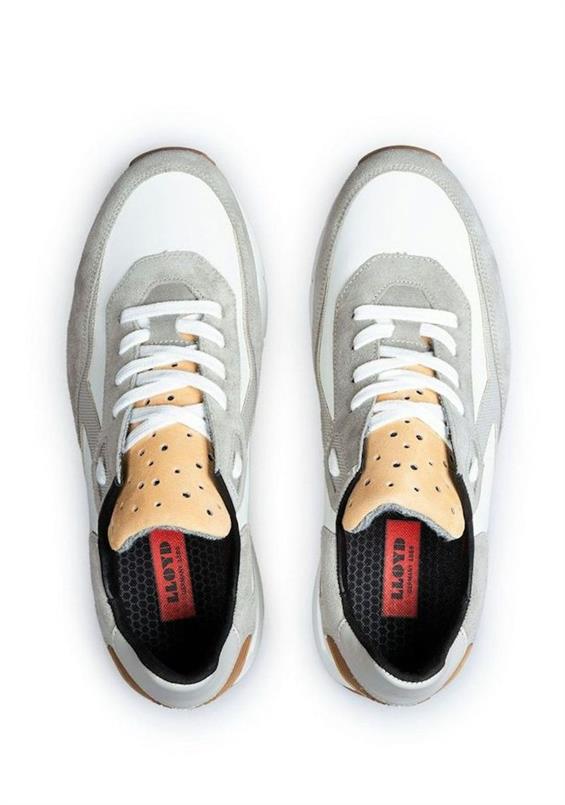 Ames 11