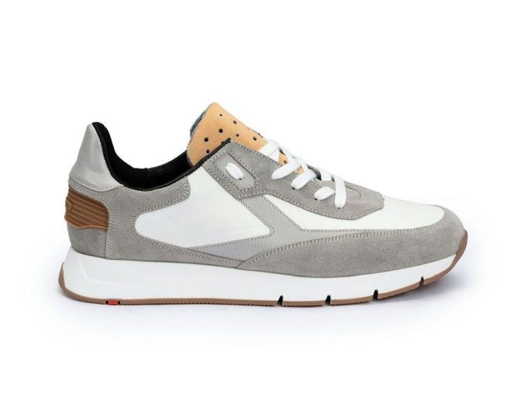 Ames 11