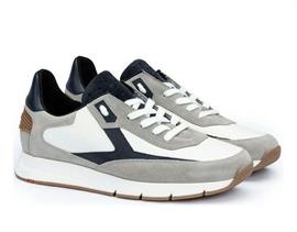 Ames 12