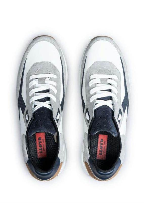 Ames 12