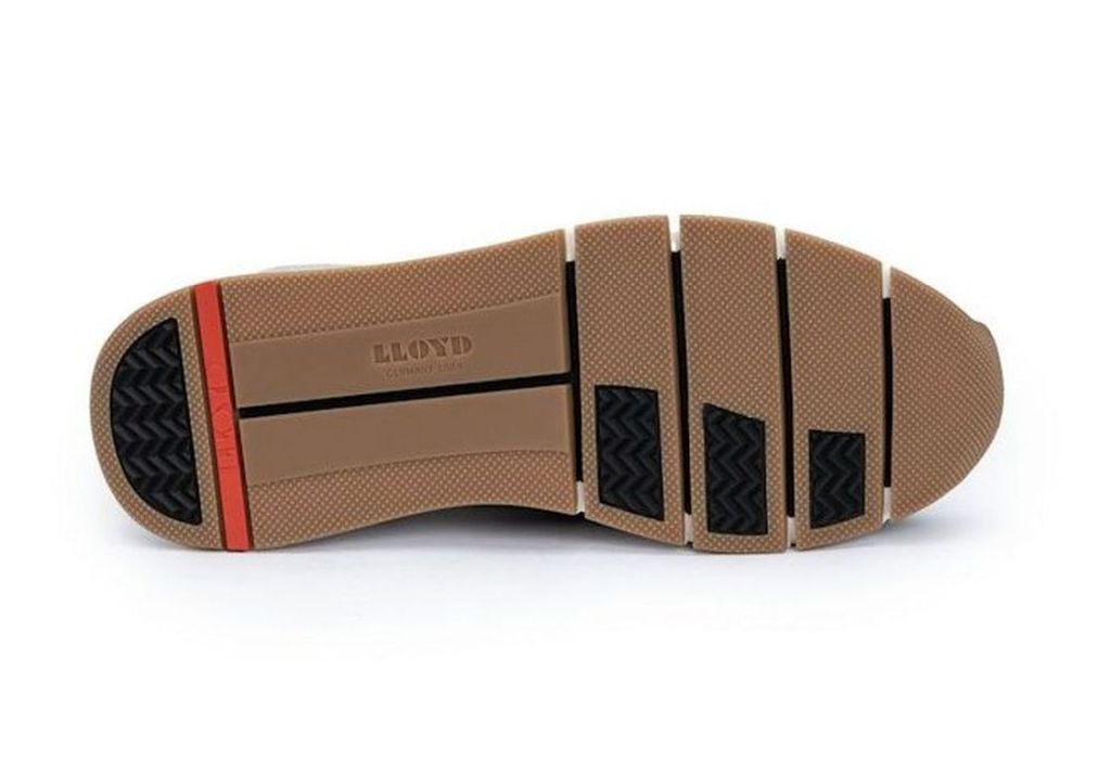 Ames 12