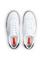 Anwar 11
