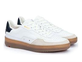 Anwar 11