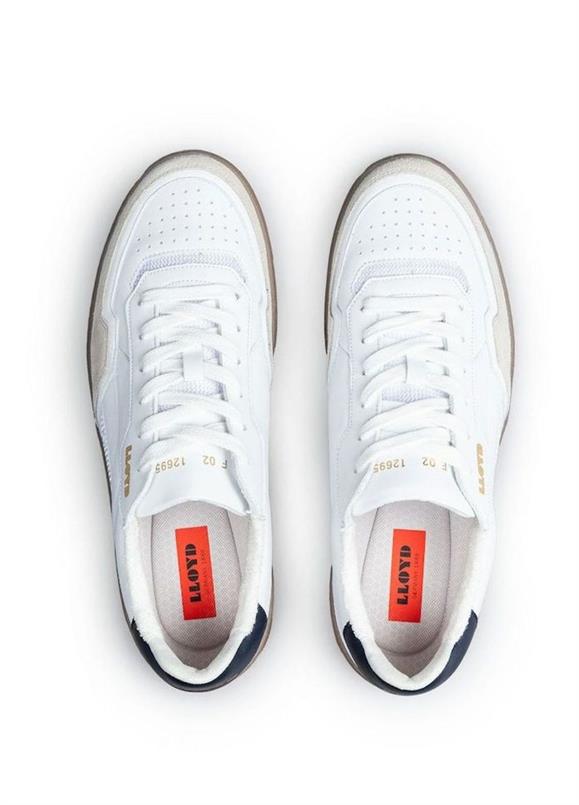 Anwar 11