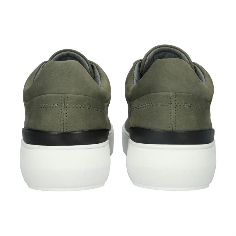 Bg160 ivy green