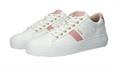 Bl220 white rose