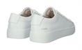 Bl470 white