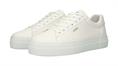 Bl488 white