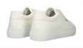 Bl488 white