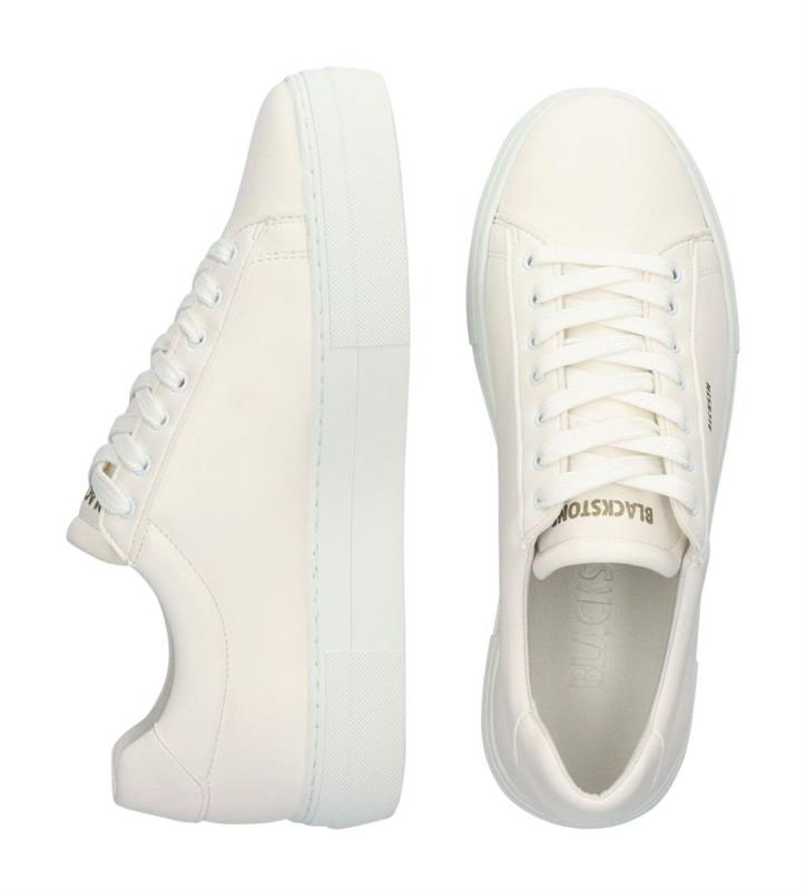Bl488 white