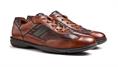Brevis 22-731-13