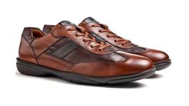 Brevis 22-731-13