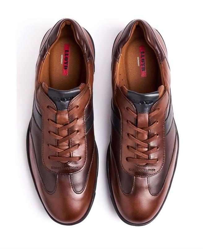 Brevis 22-731-13