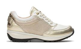 Carrara 911 gold