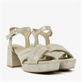 Cassia gabriel 1161