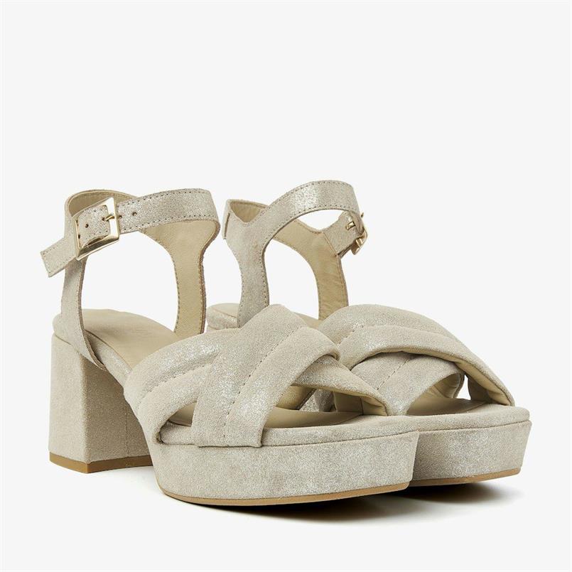 Cassia gabriel 1161