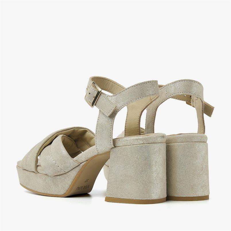 Cassia gabriel 1161