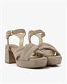 Cassia gabriel 202