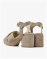 Cassia gabriel 202