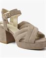 Cassia gabriel 202