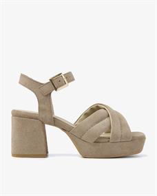 Cassia gabriel 202