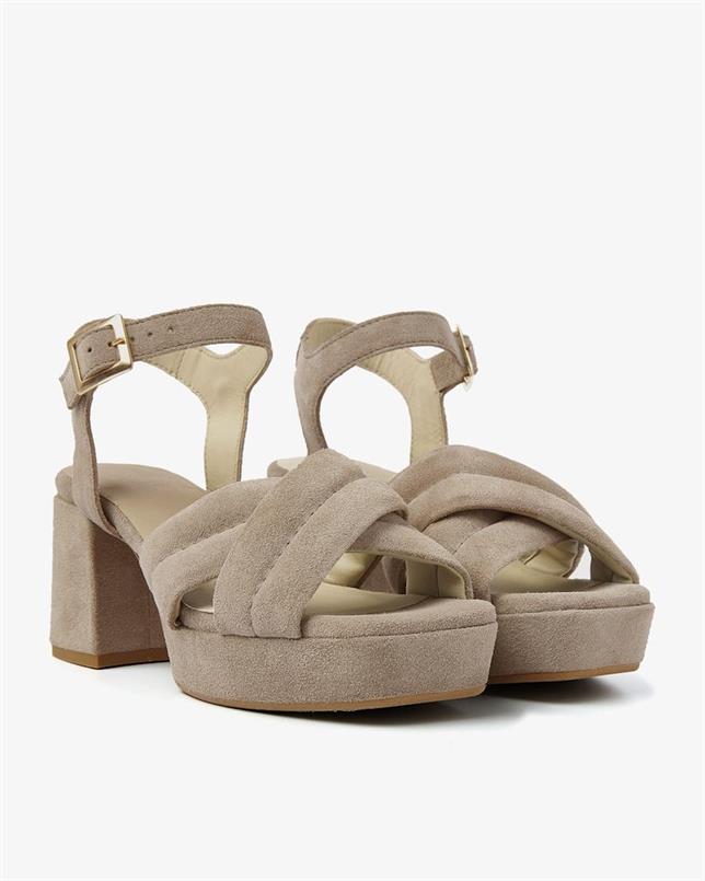 Cassia gabriel 202