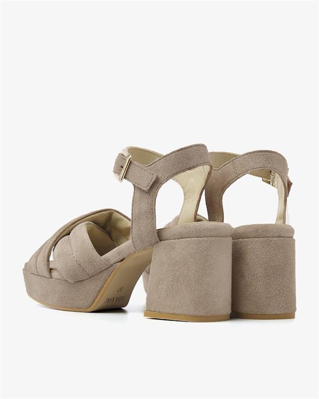 Cassia gabriel 202
