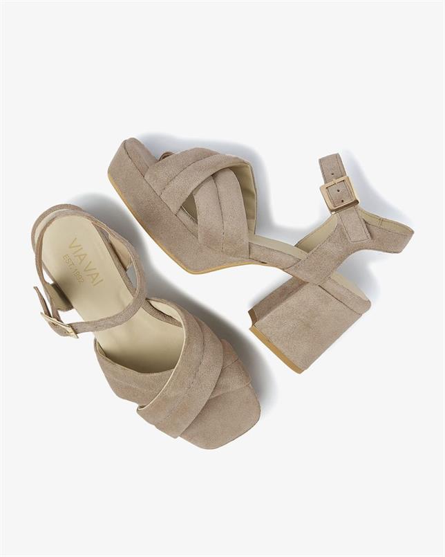 Cassia gabriel 202