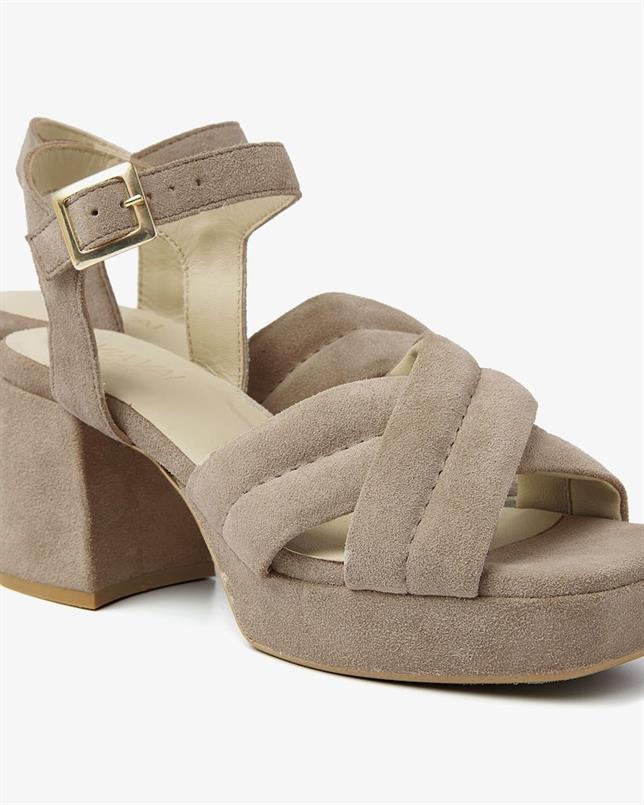 Cassia gabriel 202