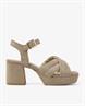 Cassia gabriel 202