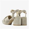 Cassia gabriel 204