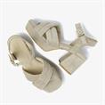Cassia gabriel 204