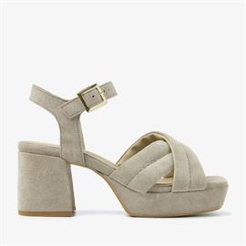 Cassia gabriel 204