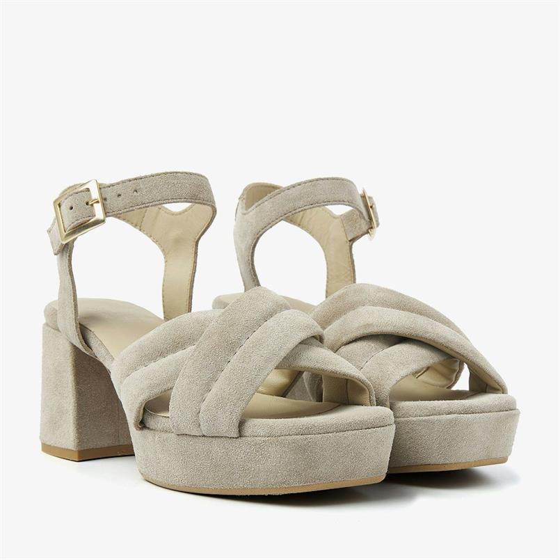 Cassia gabriel 204