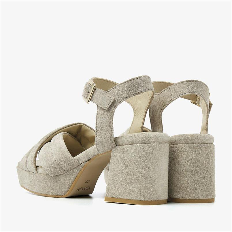 Cassia gabriel 204