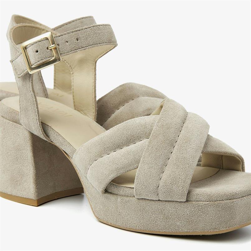 Cassia gabriel 204