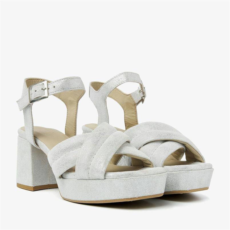 Cassia gabriel 224