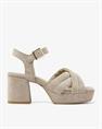 Cassia gabriel 279