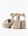 Cassia gabriel 279