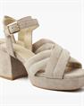 Cassia gabriel 279