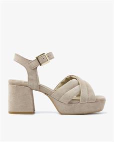 Cassia gabriel 279