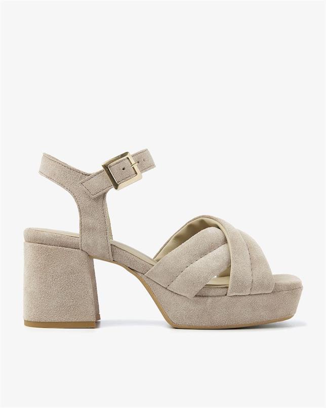 Cassia gabriel 279