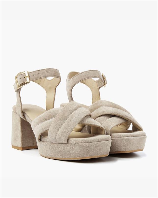 Cassia gabriel 279