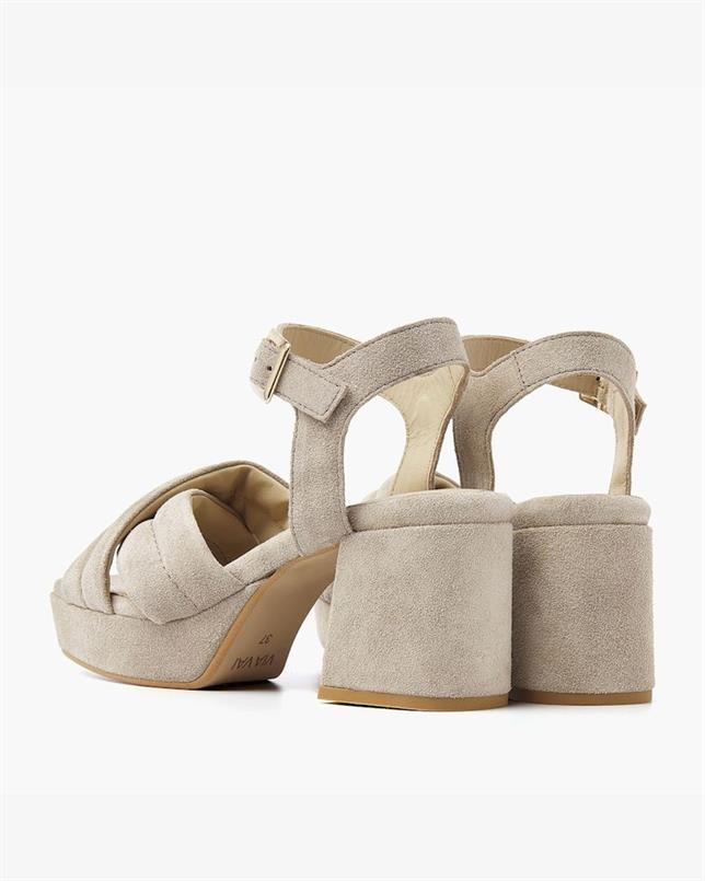 Cassia gabriel 279