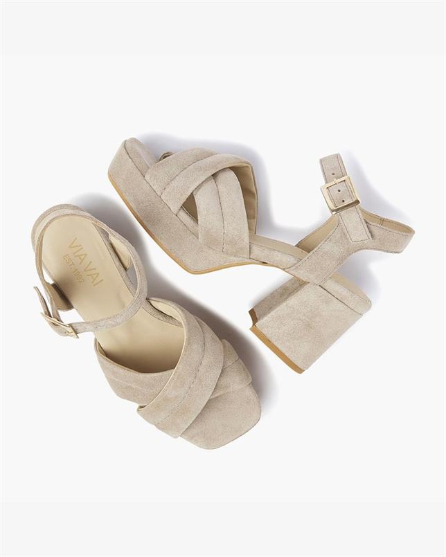 Cassia gabriel 279
