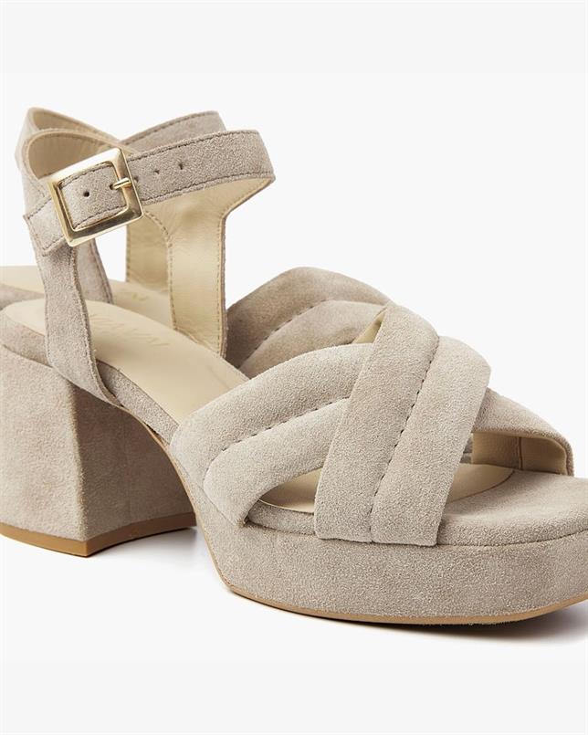 Cassia gabriel 279