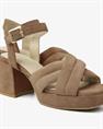 Cassia gabriel 300