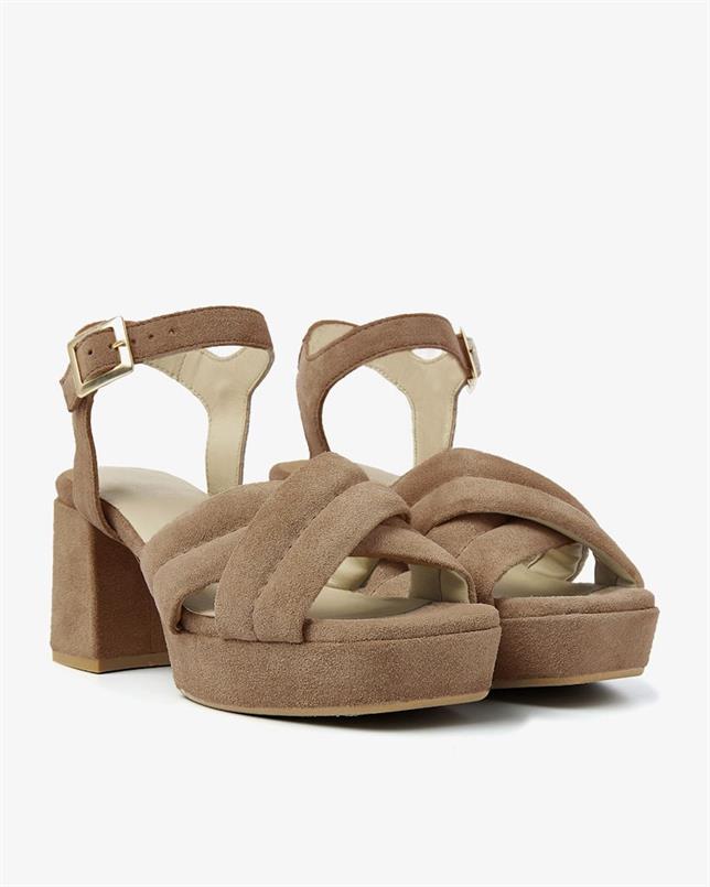 Cassia gabriel 300